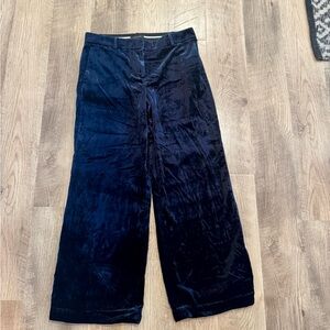 Ann Taylor Midnight Blue Velvet Trousers